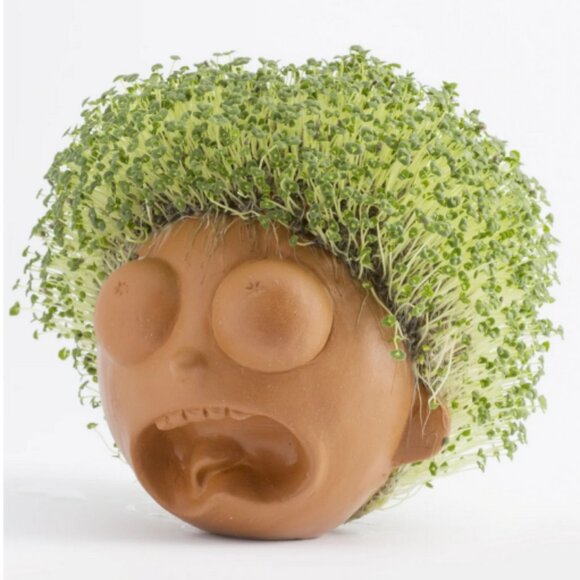 Rick and Morty Chia Pet® Morty - Picture 3 of 4